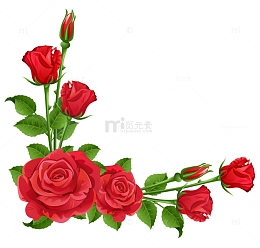 玫瑰花边框
