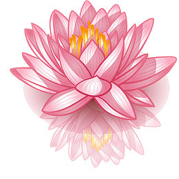 矢量手绘莲花