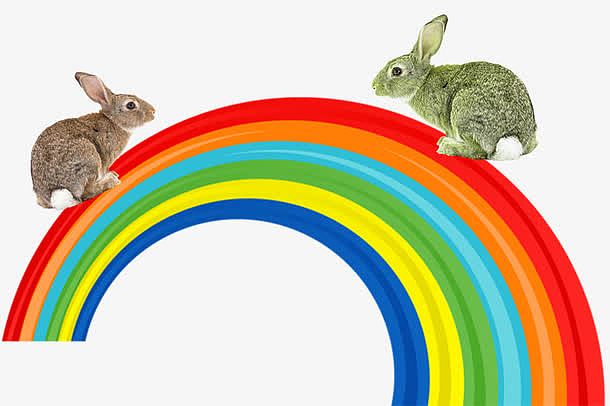 彩虹上的兔子素材