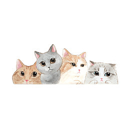 可爱动物小猫一排站