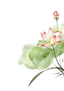 手绘彩色荷花免抠素材