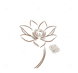 莲花线稿