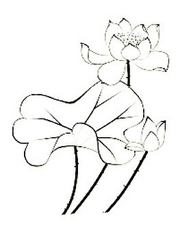 荷花简笔画