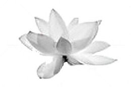 中国风图案古典图片 荷花莲花