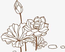 莲花儿线稿