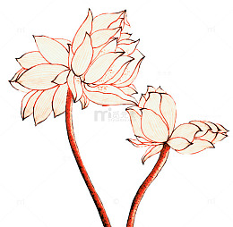 手绘花瓣