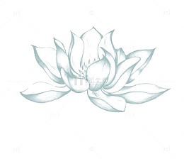 白色荷花素材