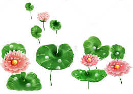 绿色荷叶