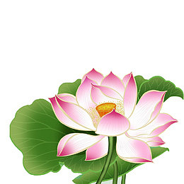 手绘荷花