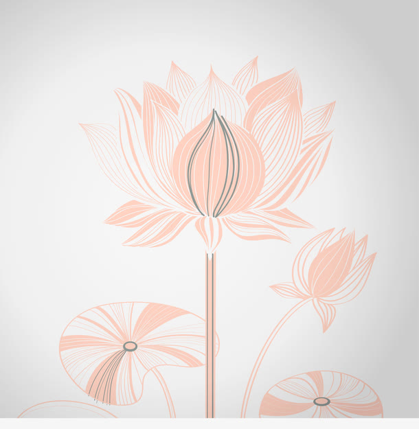 创意荷花设计矢量图