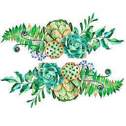 手绘莲花素材
