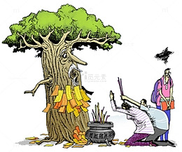 拜见神树