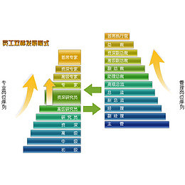晋升阶梯