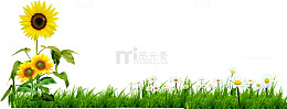 创意教师节海报植物绿草花朵