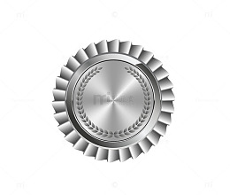 奖章矢量图