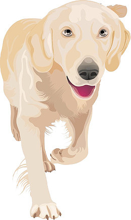 手绘导盲犬