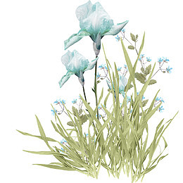 小清新蓝色花卉插画
