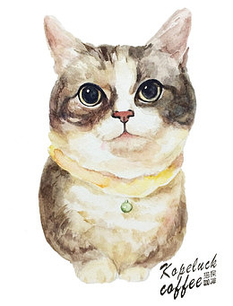 手绘猫咪头像及文字注释