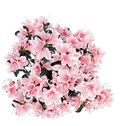 婚庆粉红花装饰