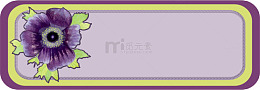 紫色小花姓名框