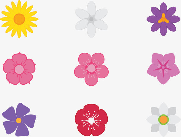 五颜六色的花朵