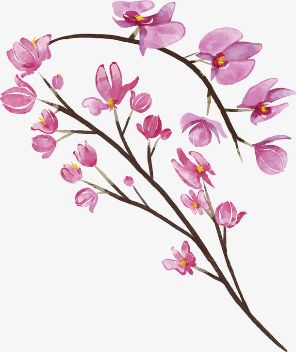 粉红色手绘水彩蝴蝶兰