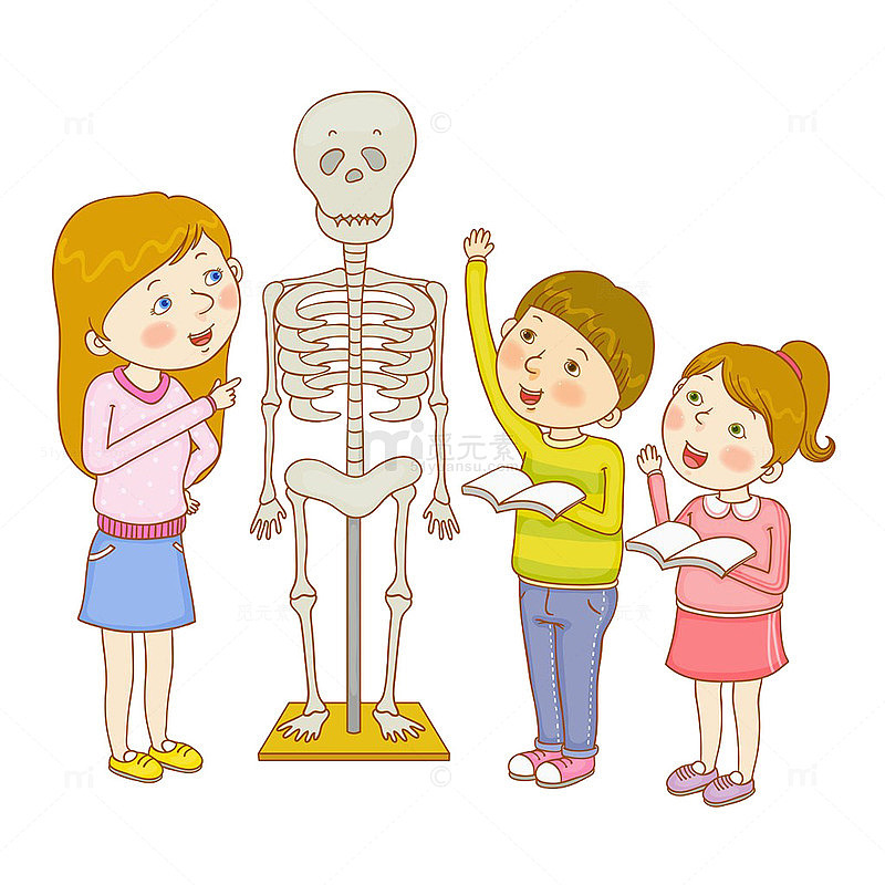 上生物课讲人体学