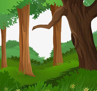 热带雨林图片_热带雨林素材_觅元素