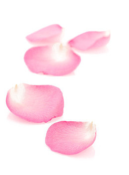 飘浮花瓣