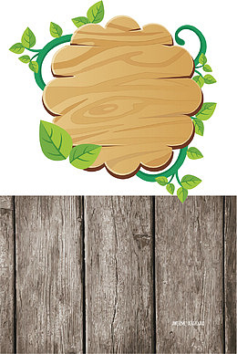 实木鉴定