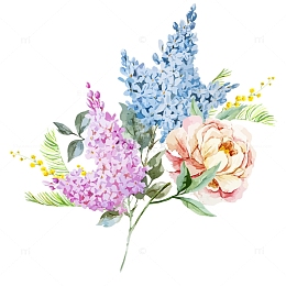 手绘绣球花