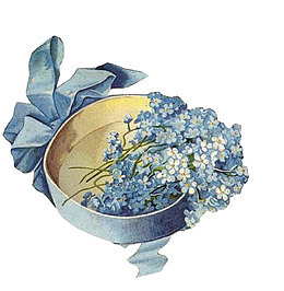 绣球花