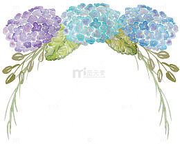 手绘绣球花