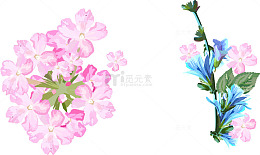 矢量手绘水彩花朵