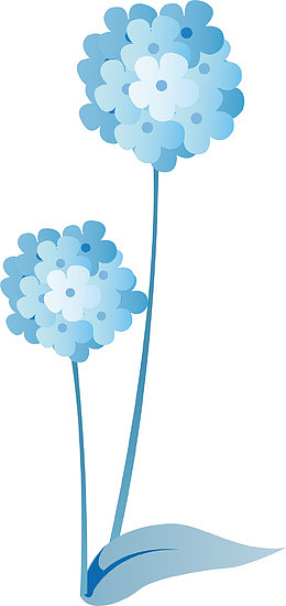蓝色绣球花矢量图