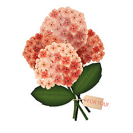 矢量绣球花