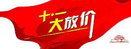 十一大放价