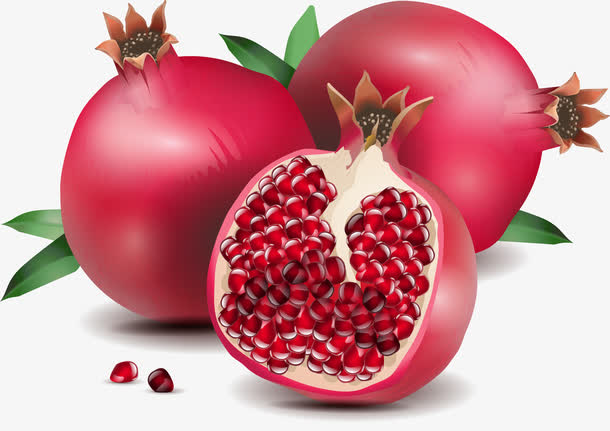 精美的红石榴免抠素材免费下载_觅元素51yuansu.com