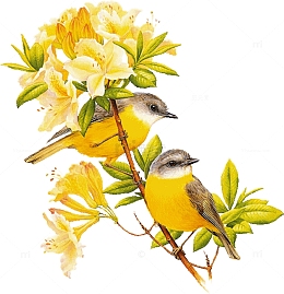 花束抽象花朵素材  卡通黄色花枝