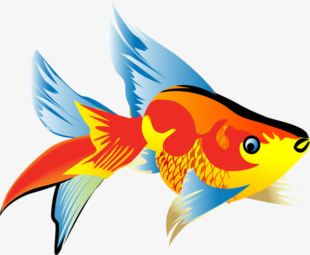 红色卡通金鱼