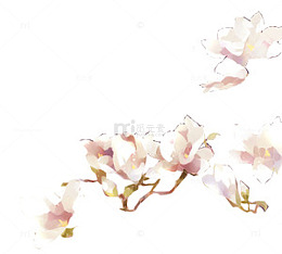 粉白色手绘花朵