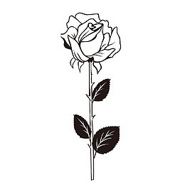 一枝花简图