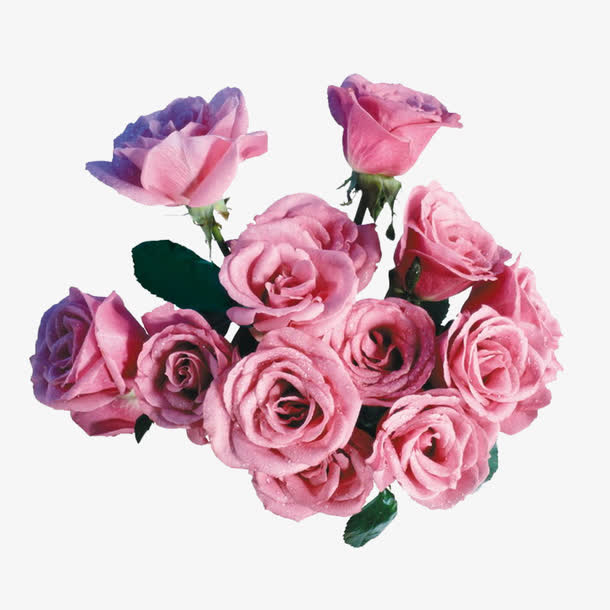 鲜花素材免费下载_觅元素