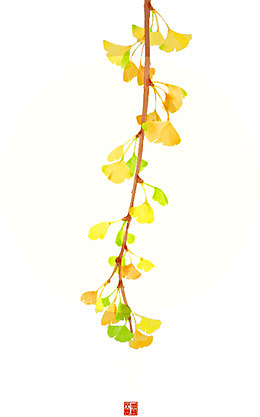 小清新创意植物构图