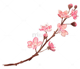 一枝桃花