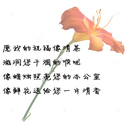 教师节祝福语