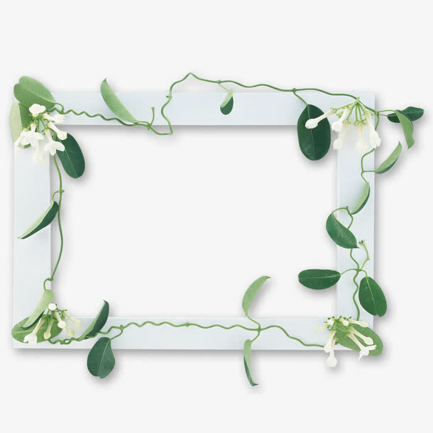 边框花朵相框素材