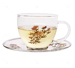 透明茶杯