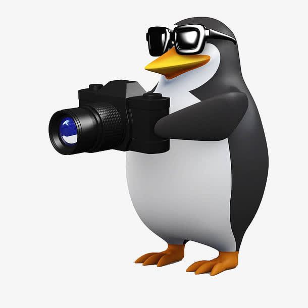拿着相机的企鹅