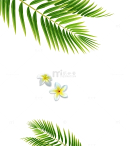 夏日清新冷饮